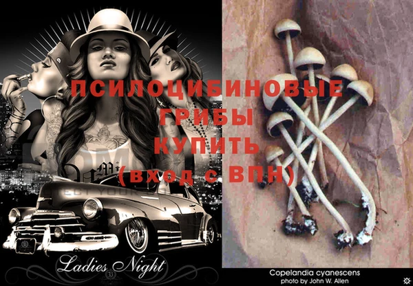 первитин Абинск