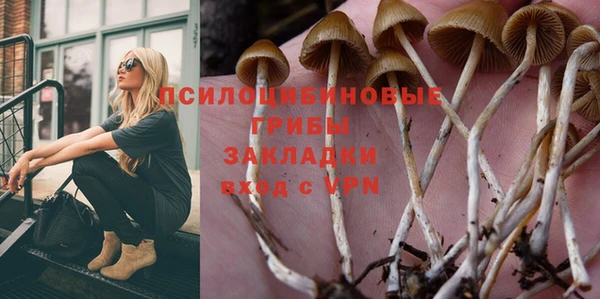 таблы Осинники