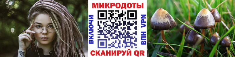 Псилоцибиновые грибы Psilocybine cubensis  Остров 